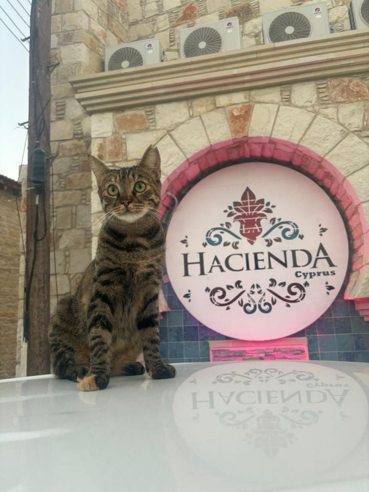 La Hacienda Cyprus 호텔 레메소스 외부 사진